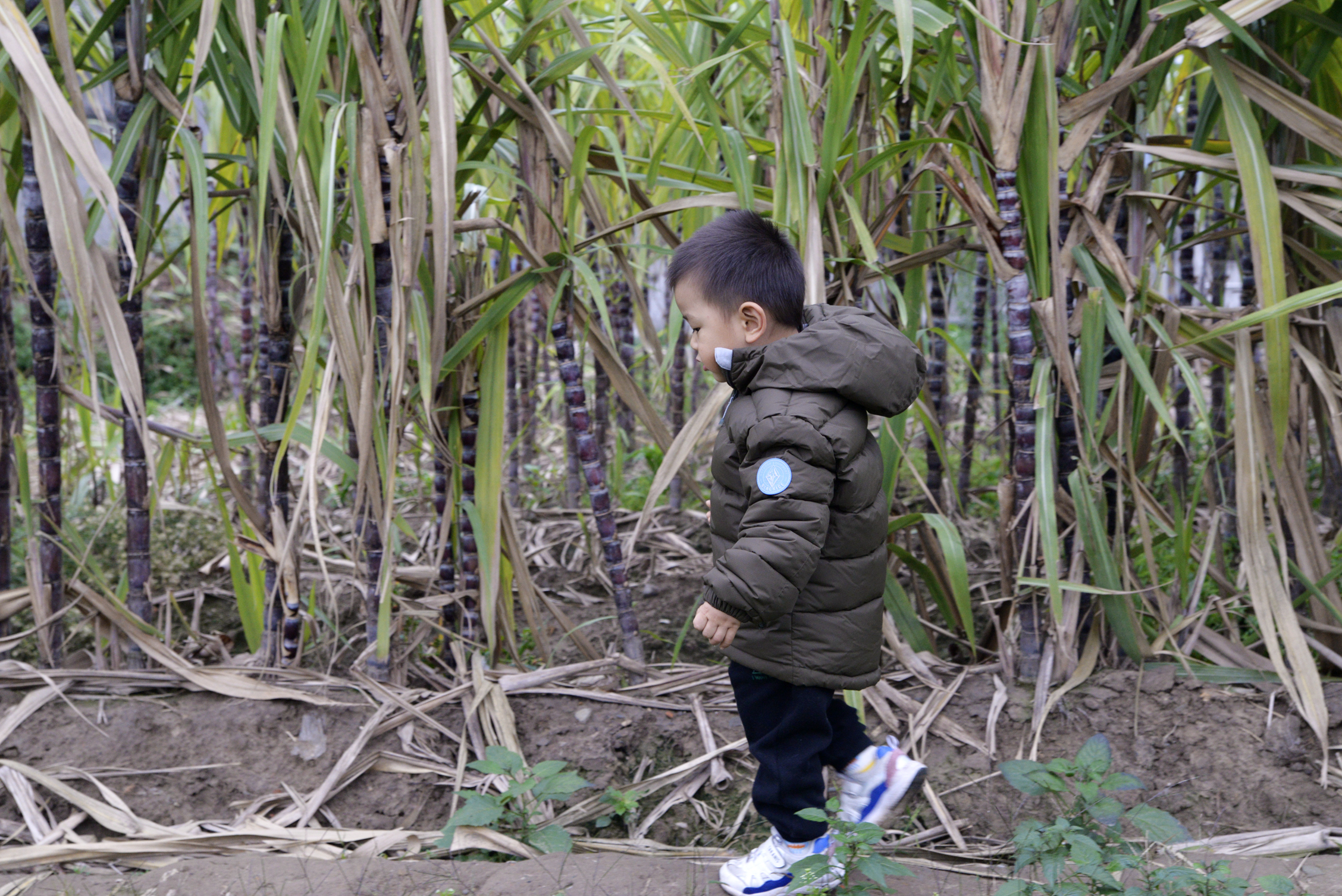 国产跟黑冰一个档次羽绒服,国货之光轻薄羽绒