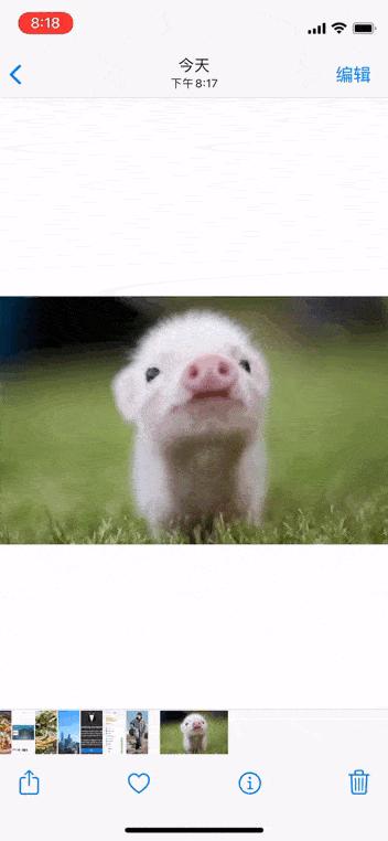 iphone相册权限在哪里打开,iphone私密相册怎么打开