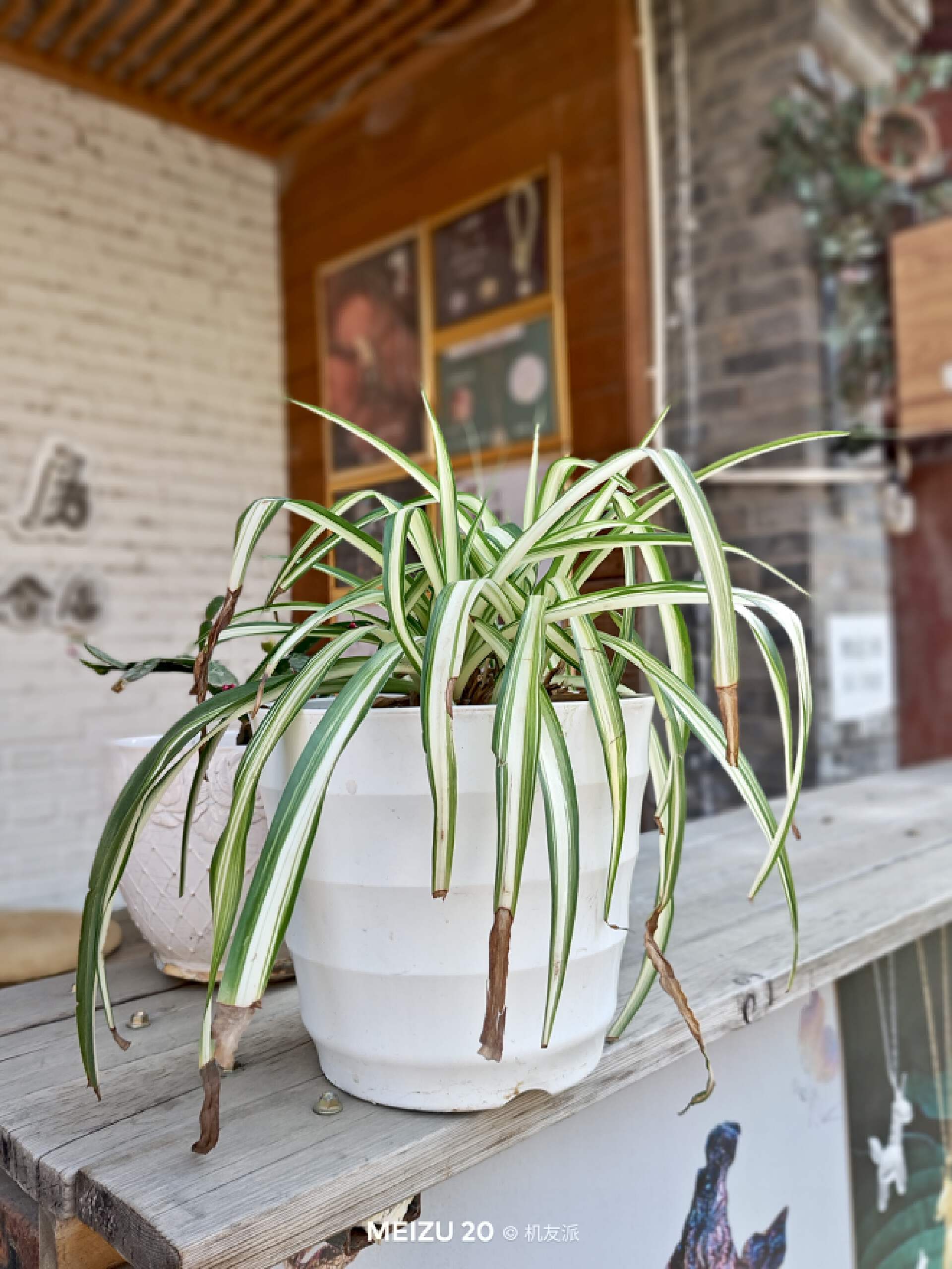 魅族20infinity无界版ppi,说说你们用魅族20手机的真实感受