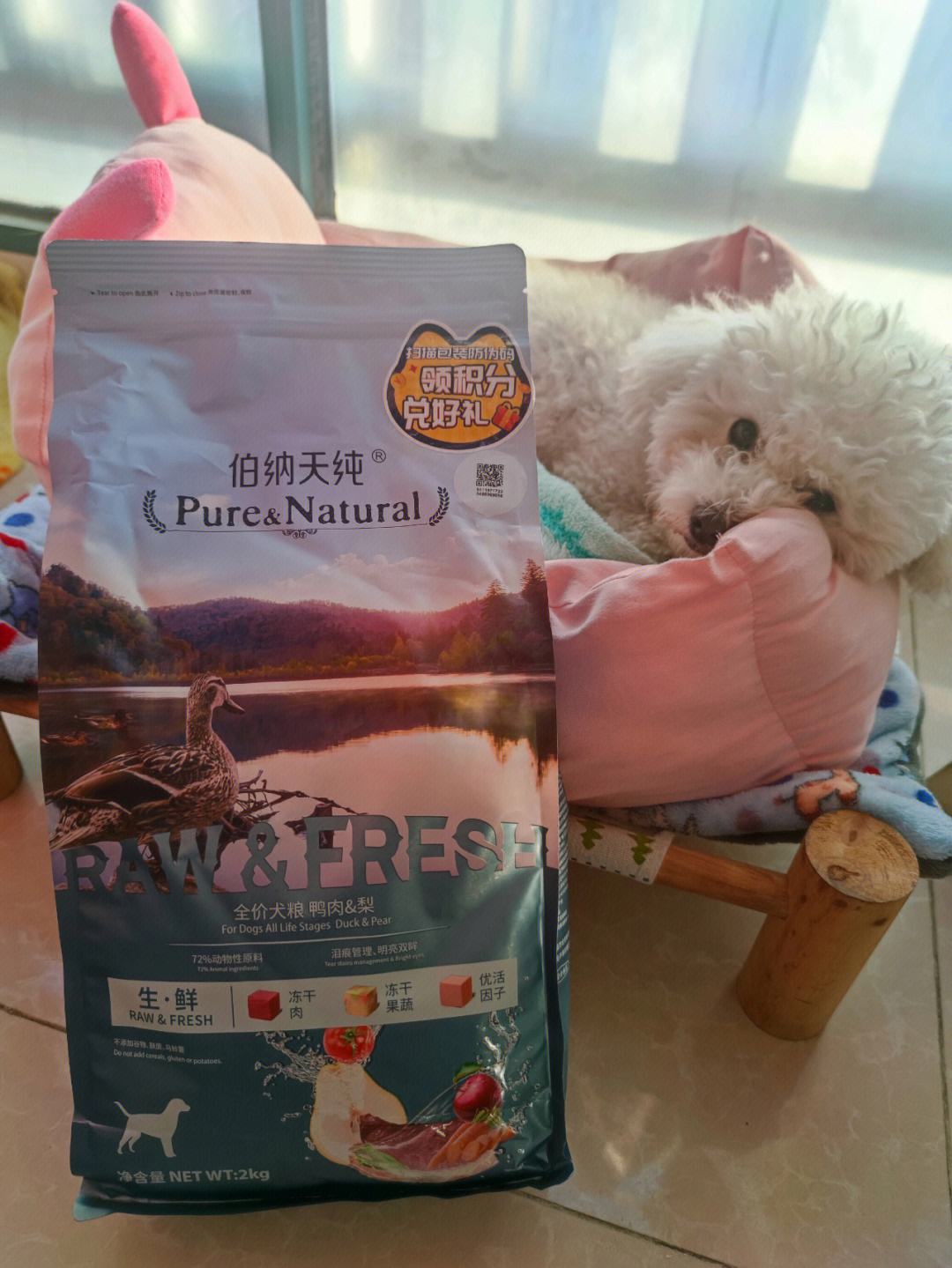 狗粮哪个牌子好如何挑选好狗粮,吉娃娃狗粮推荐分享狗粮挑选方法