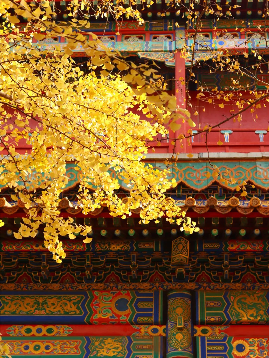 一入秋北京就变成了北平原文,一入秋北京就成了北平是谁说的