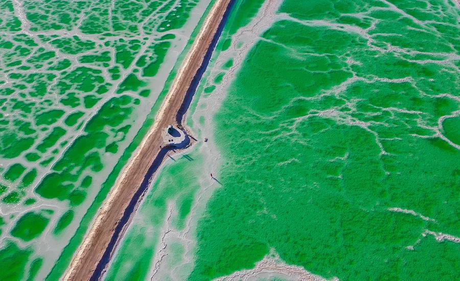 夏天哪里看油菜花最美,夏天去哪里看油菜花最好