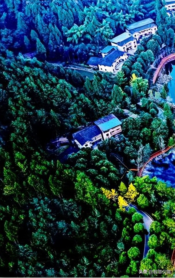 泰酷辣给人一种什么感觉,泰酷辣火了吗