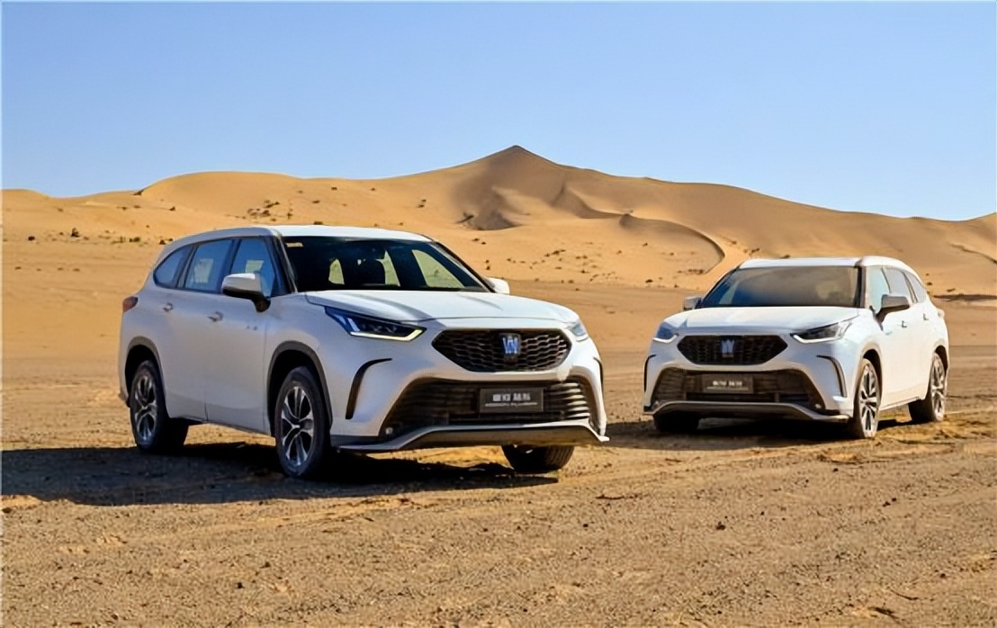 鍏变韩瓒崇悆鐩涘,2022鍗″灏斾笘鐣屾澂鍐宠禌褰曞儚鍜挄