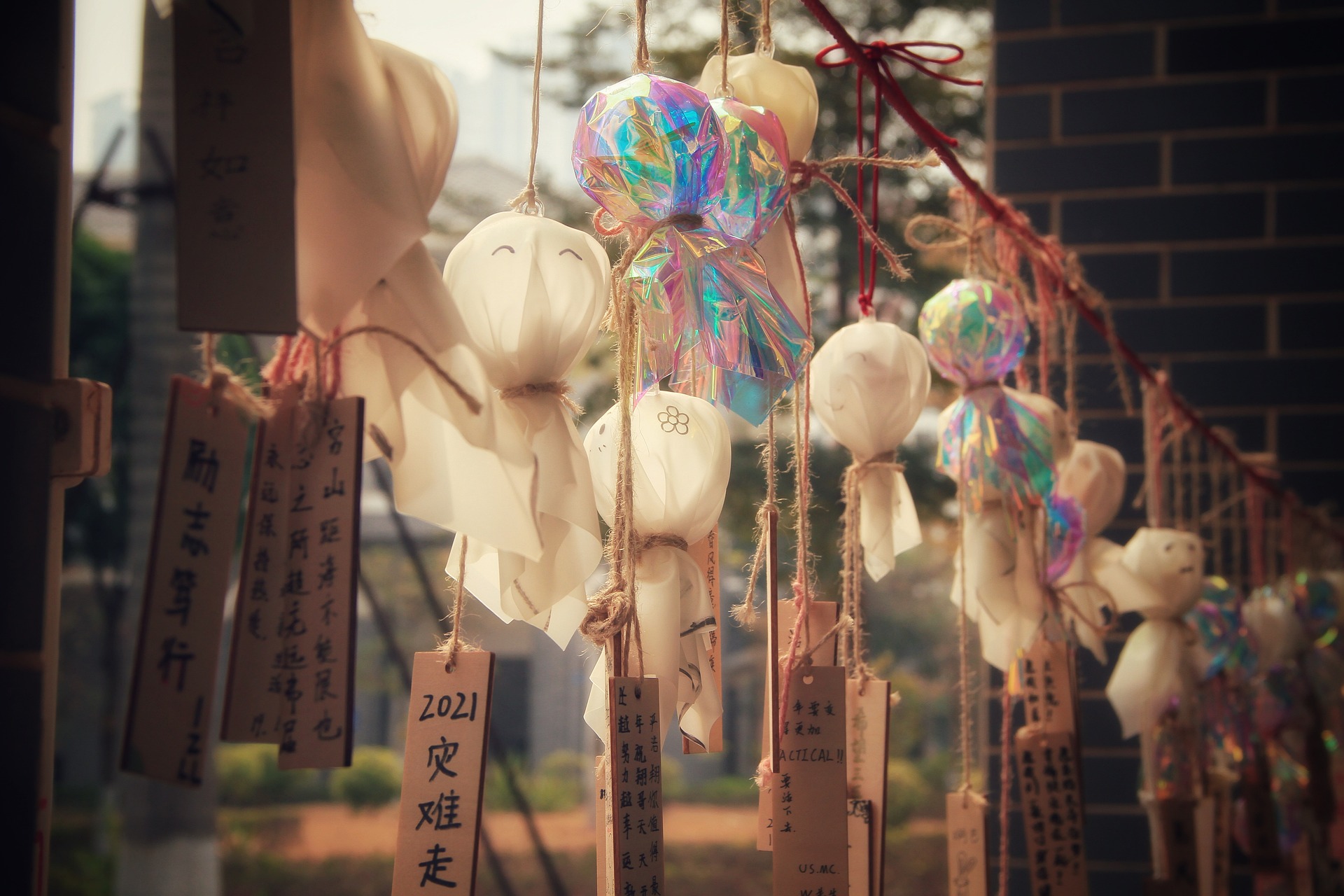 从此你不再孤单什么意思,英文祝福语句简短唯美