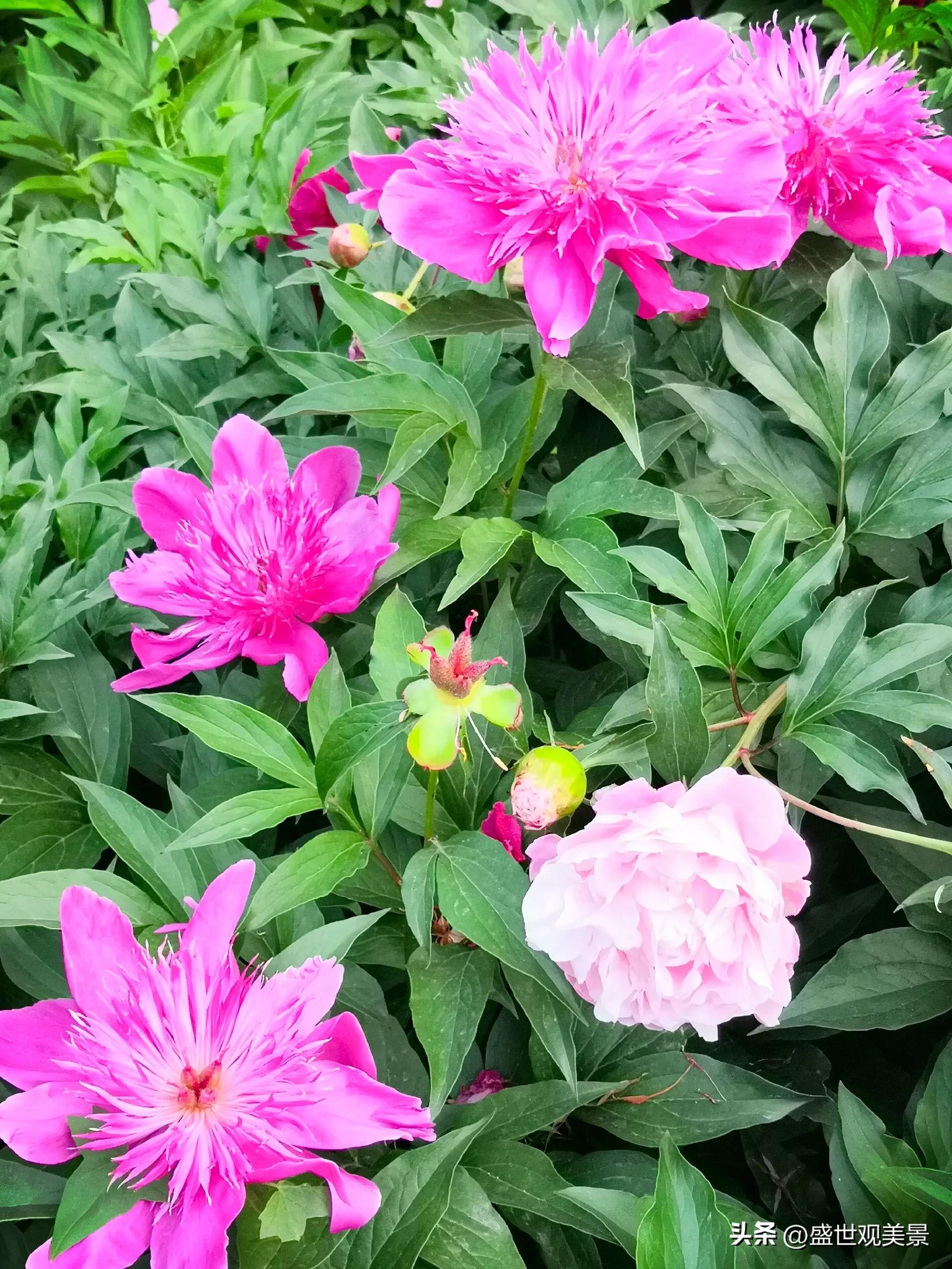 怎样找到头条的流量密码,头条原创文章怎么加推荐量