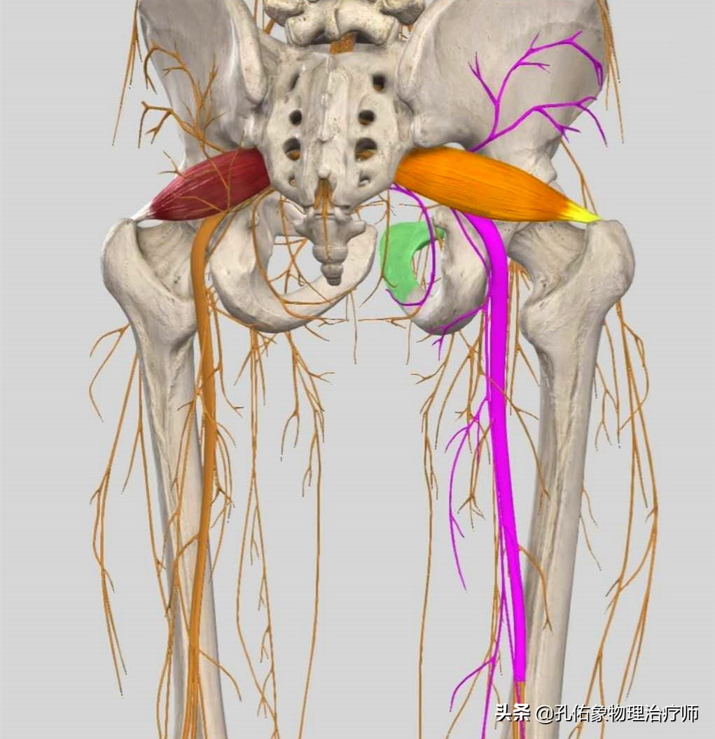导致坐骨神经痛的原因是什么,坐骨神经痛有些反复什么原因