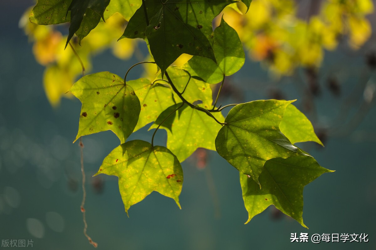 曾仕强面对现实不要逃避,曾仕强说做事情的三种方法