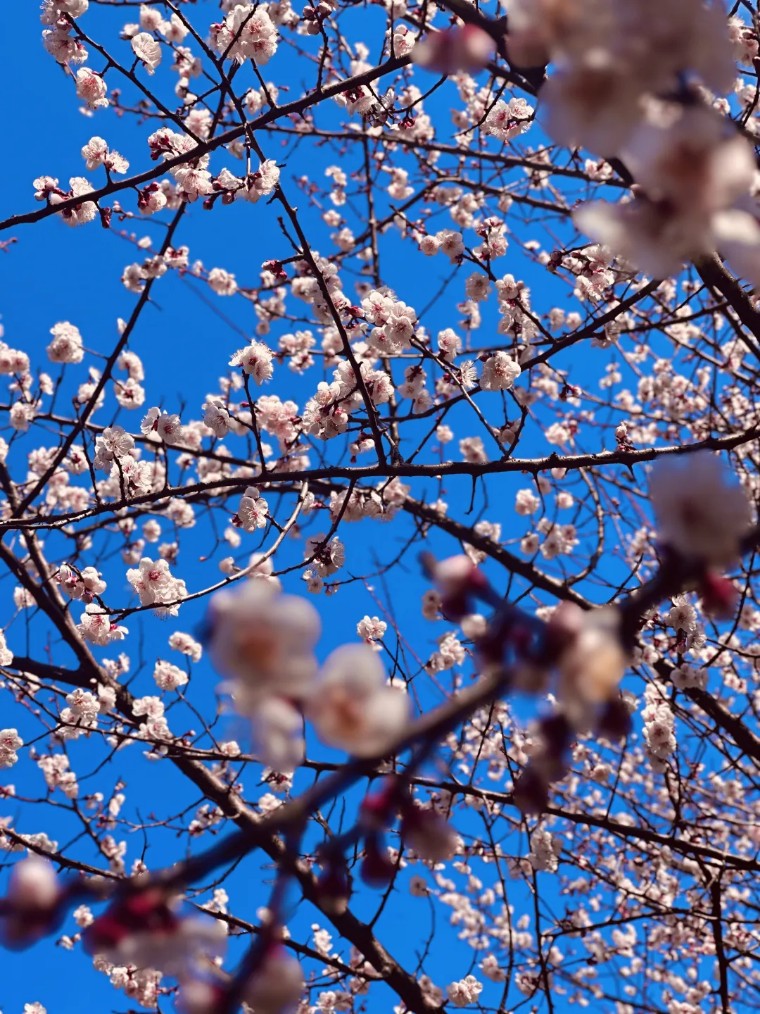 如何拍出唯美风景大片,唯美大片拍摄技巧风景