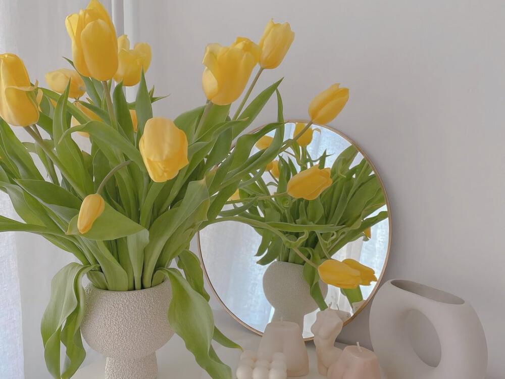 乔迁新居用什么鲜花最好,新房搬家用什么鲜花