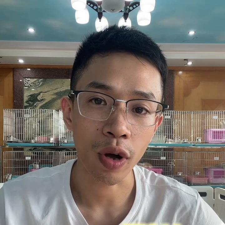 在上海买猫注意事项,怎么在香港买猫