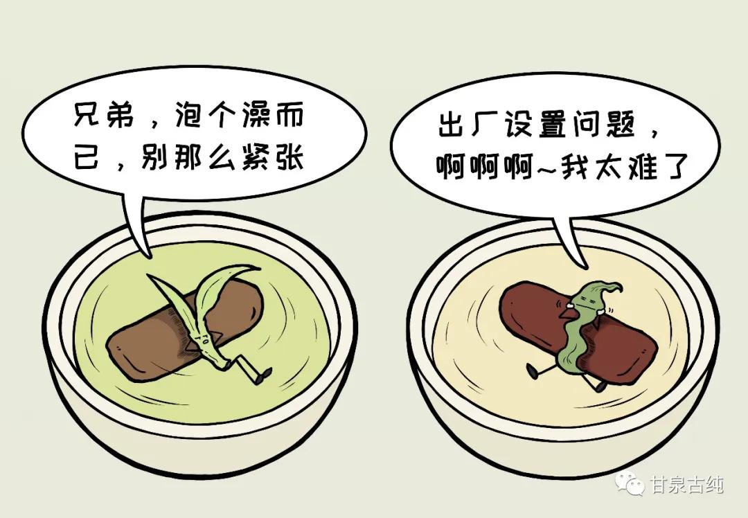 茶渣真的渣,茶渣不过滤有害吗