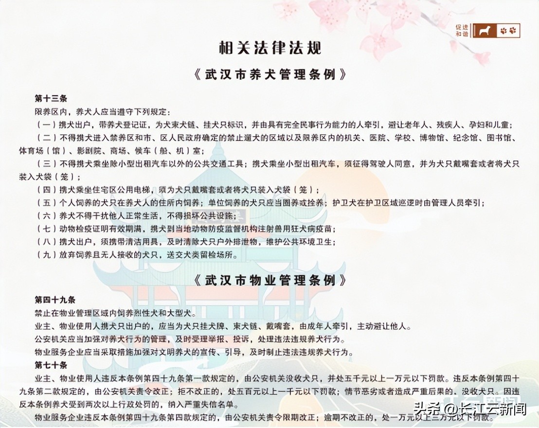 武汉狗狗哪里办证,武汉狗狗办证流程