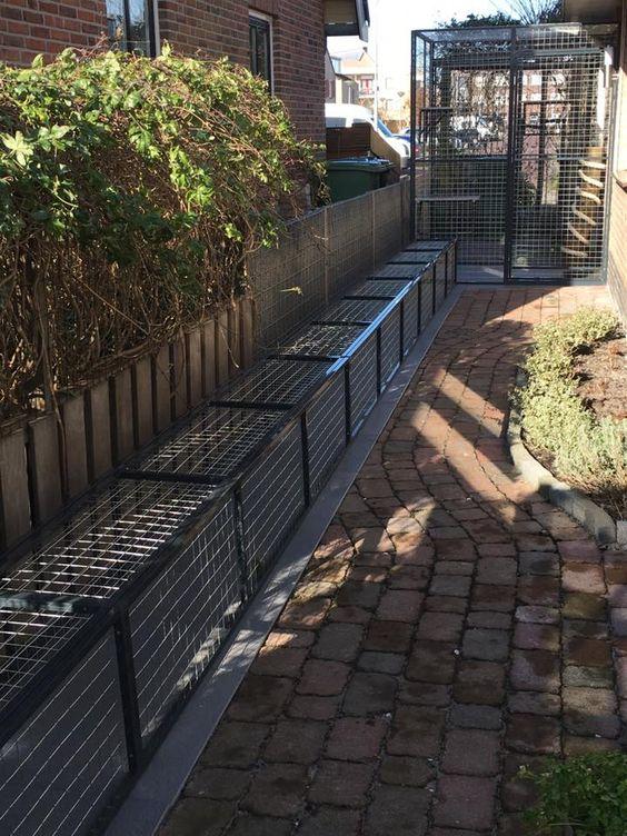 就喜欢养点花花草草,在楼顶菜园用笼子养鸡