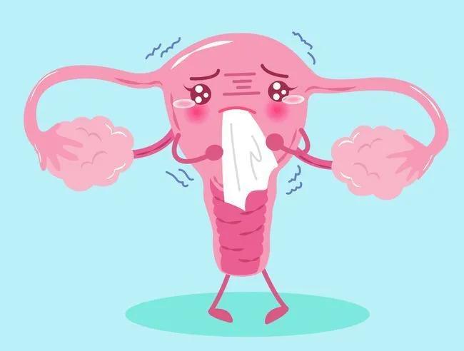 私密护理观念,私密护理的好处与坏处专家讲解