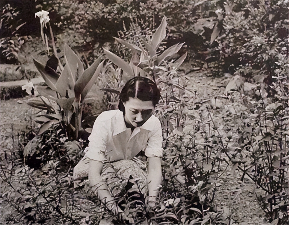 张学良迷恋的赵四小姐有多美,赵四小姐到底有多漂亮