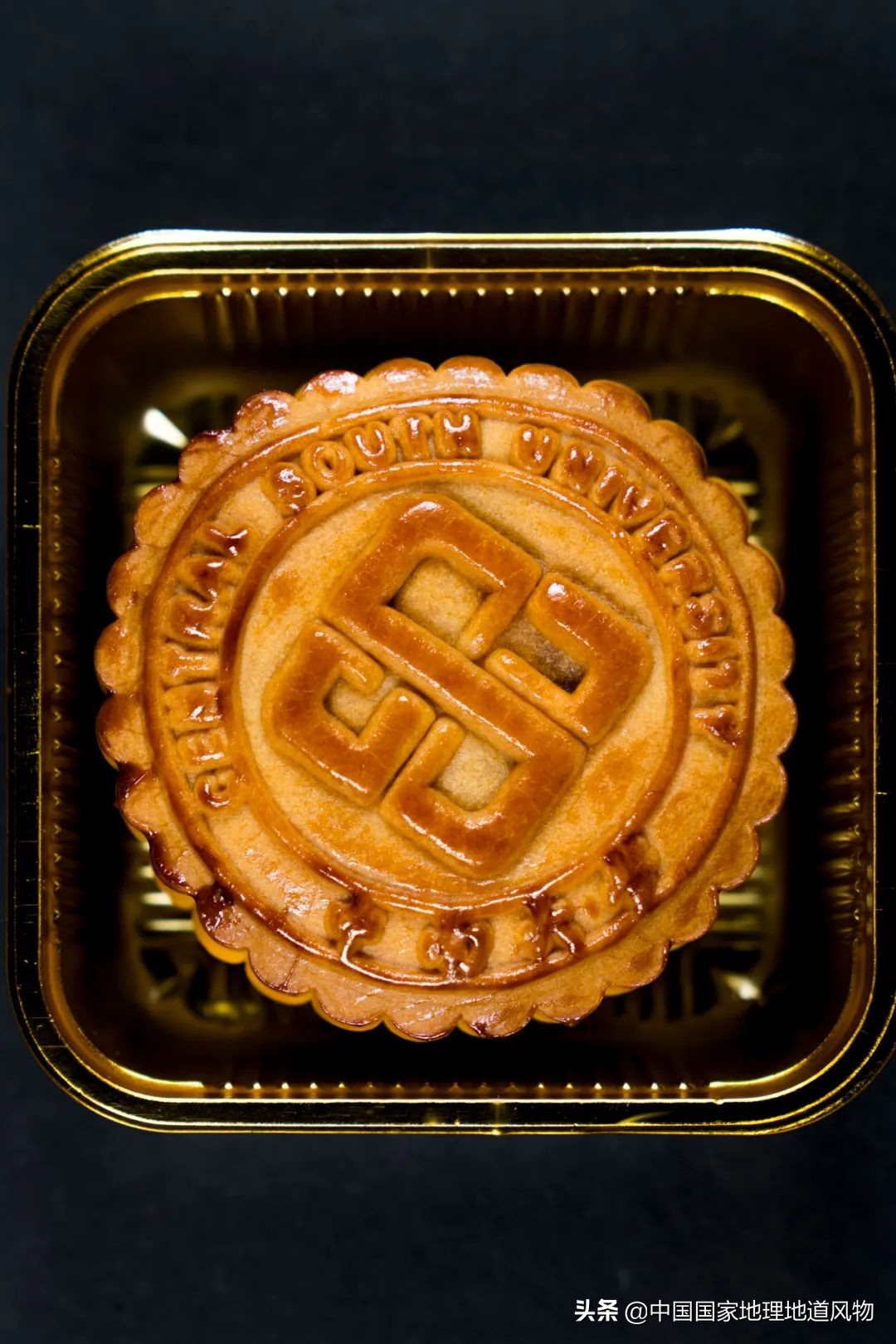 中南大学中南矿冶学院,中南是哪个大学