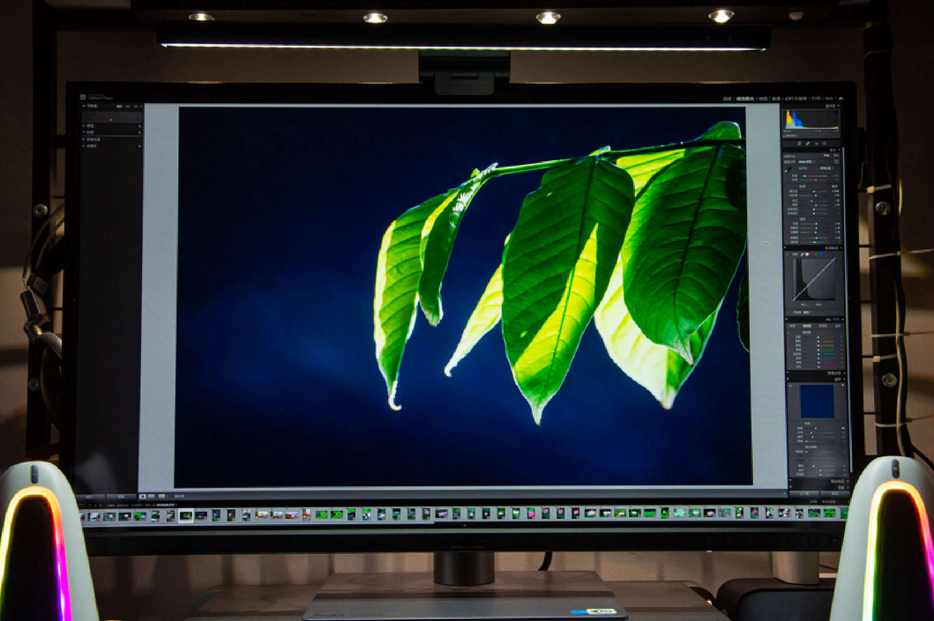 普通显示器华硕proart评测,华硕proart显示器推荐