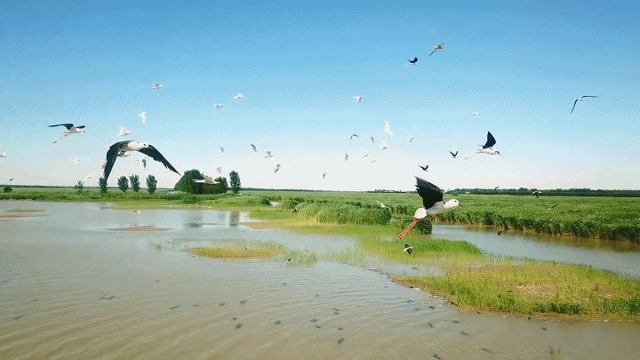 【津云夜读】玩转津城，200多项活动安排了｜“小七里海”，打造“水上奥特莱斯”｜明天，这些活动免费参加