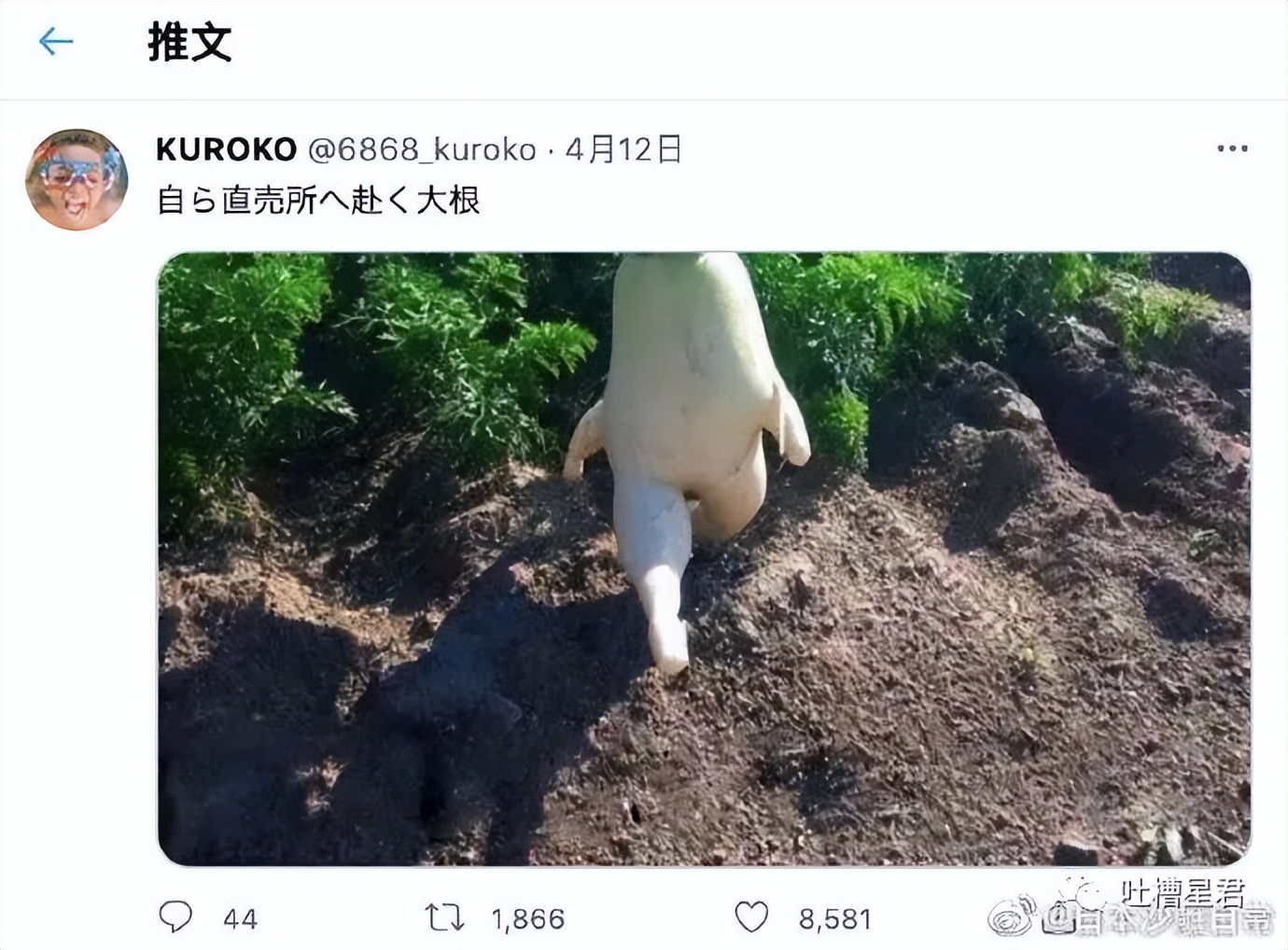 女友穿吊带裙男朋友的反应,女友买了新裙子