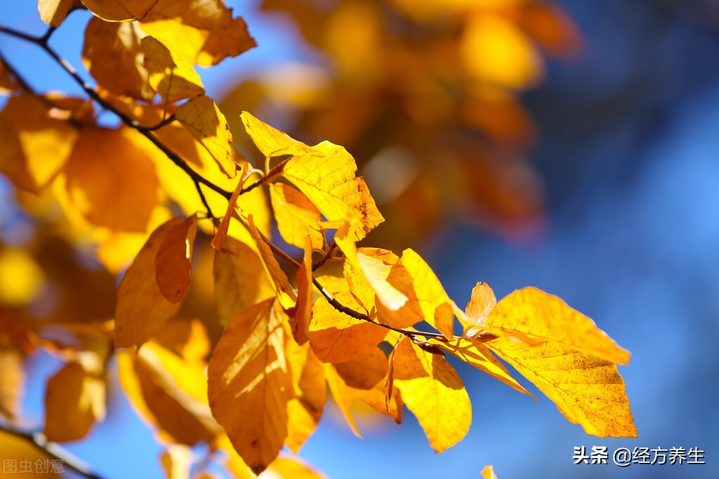 治病过程记录,治病是个长期过程