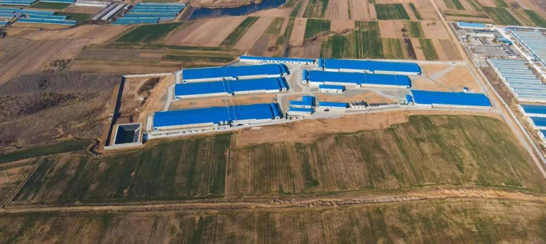 百社争流千帆竞乡土大地绘蓝图——莒南县*党**支部创办合作社专题展播（五）