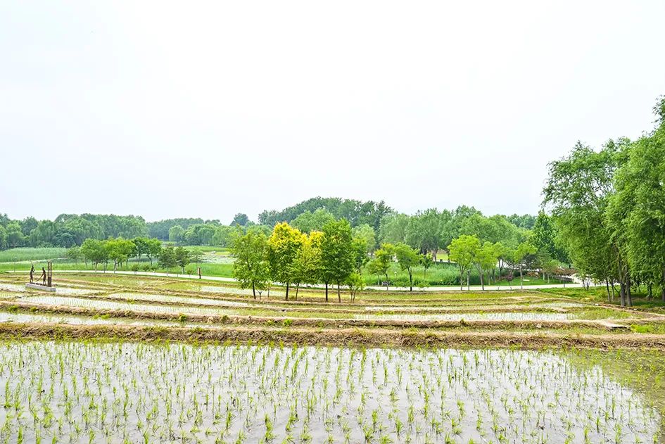 北京免费景美公园大全,北京这个公园也很美