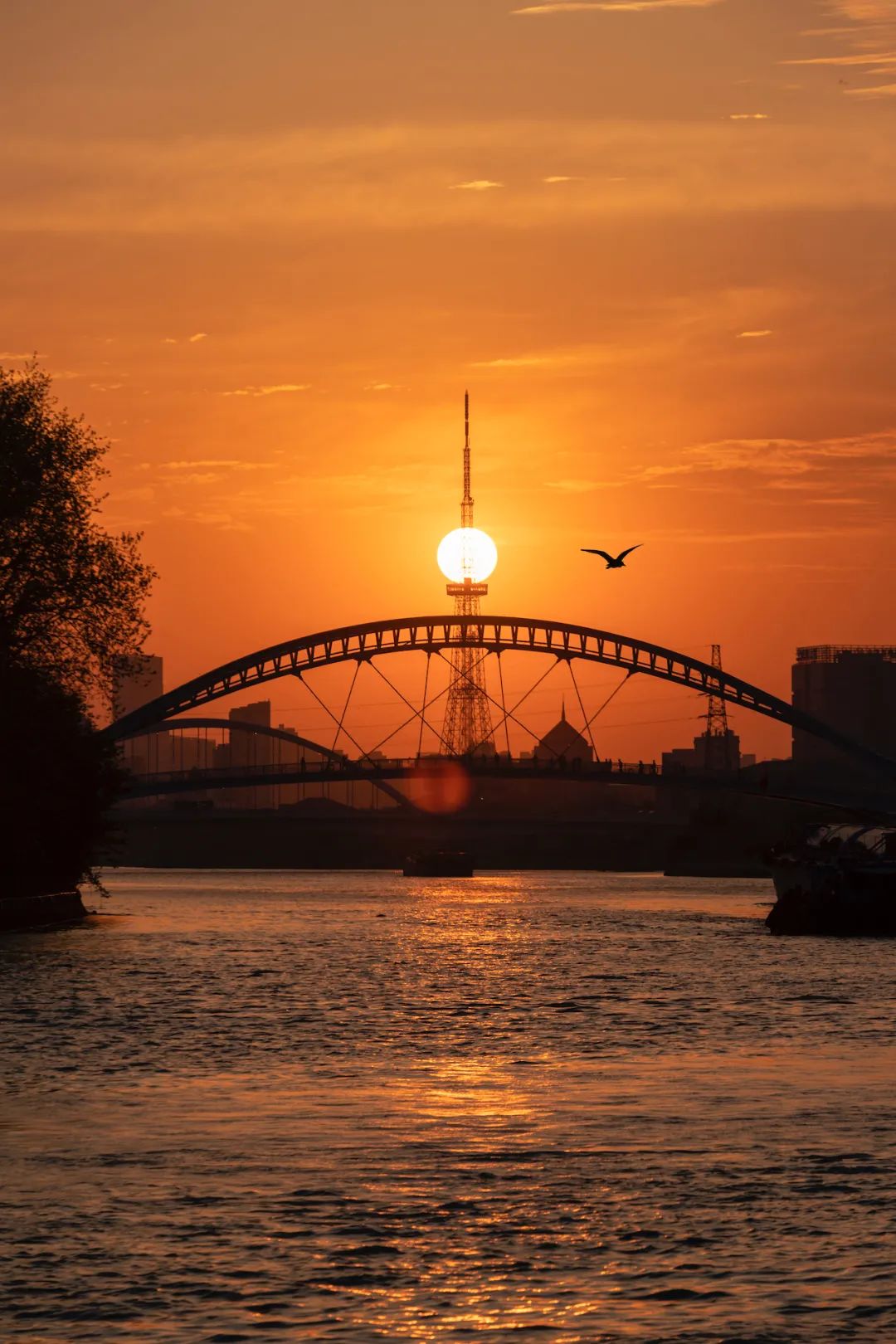 以城相见|苏州，最江南