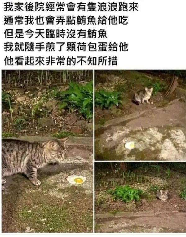 快乐源泉高能瞬间,快乐源泉8693