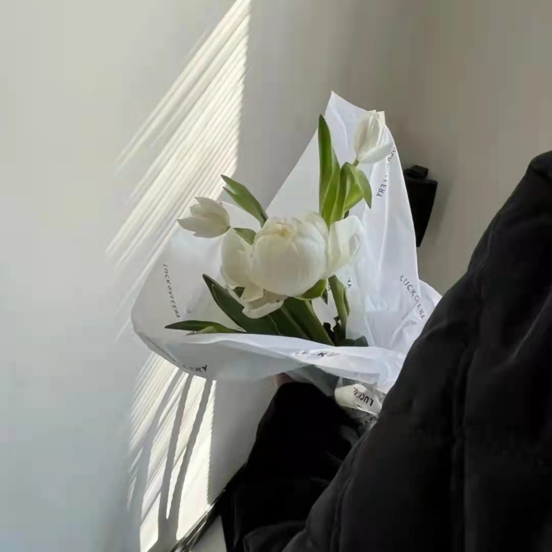 小众又高级的新年祝福文案,小众惊艳高级的朋友圈文案