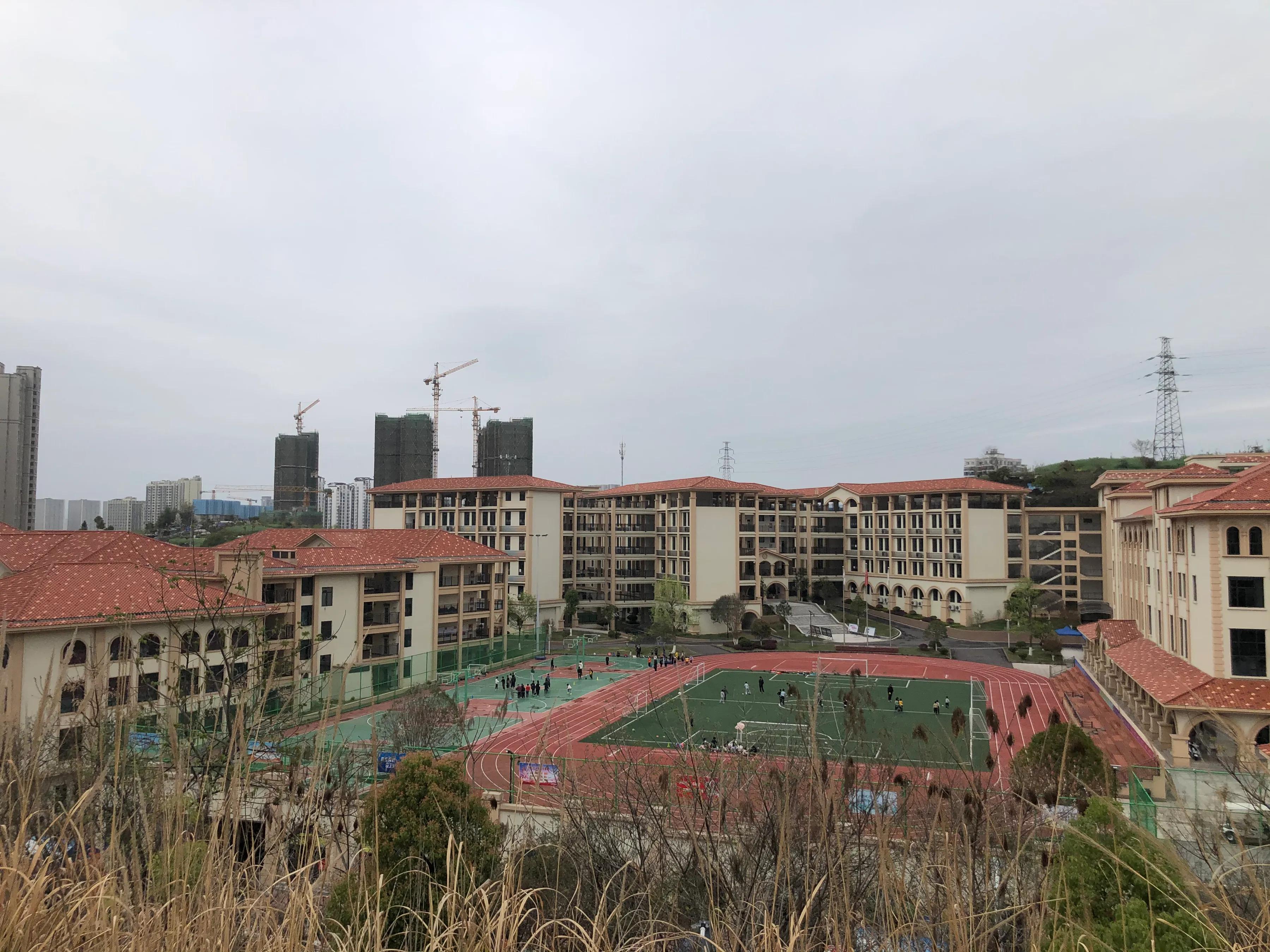 瀹滄槍鎺㈢,瀹滄槍杩愭渤鍏洯