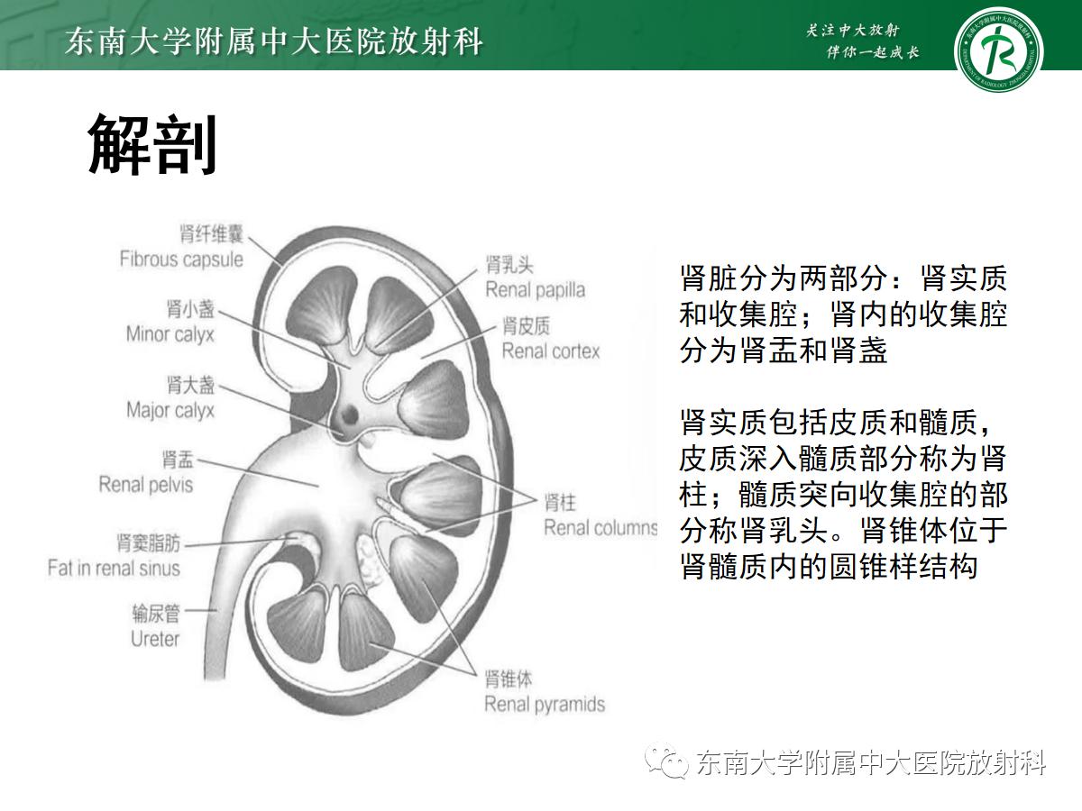 周利群谈肾嫌色细胞癌ct特点,好文分享值得深思