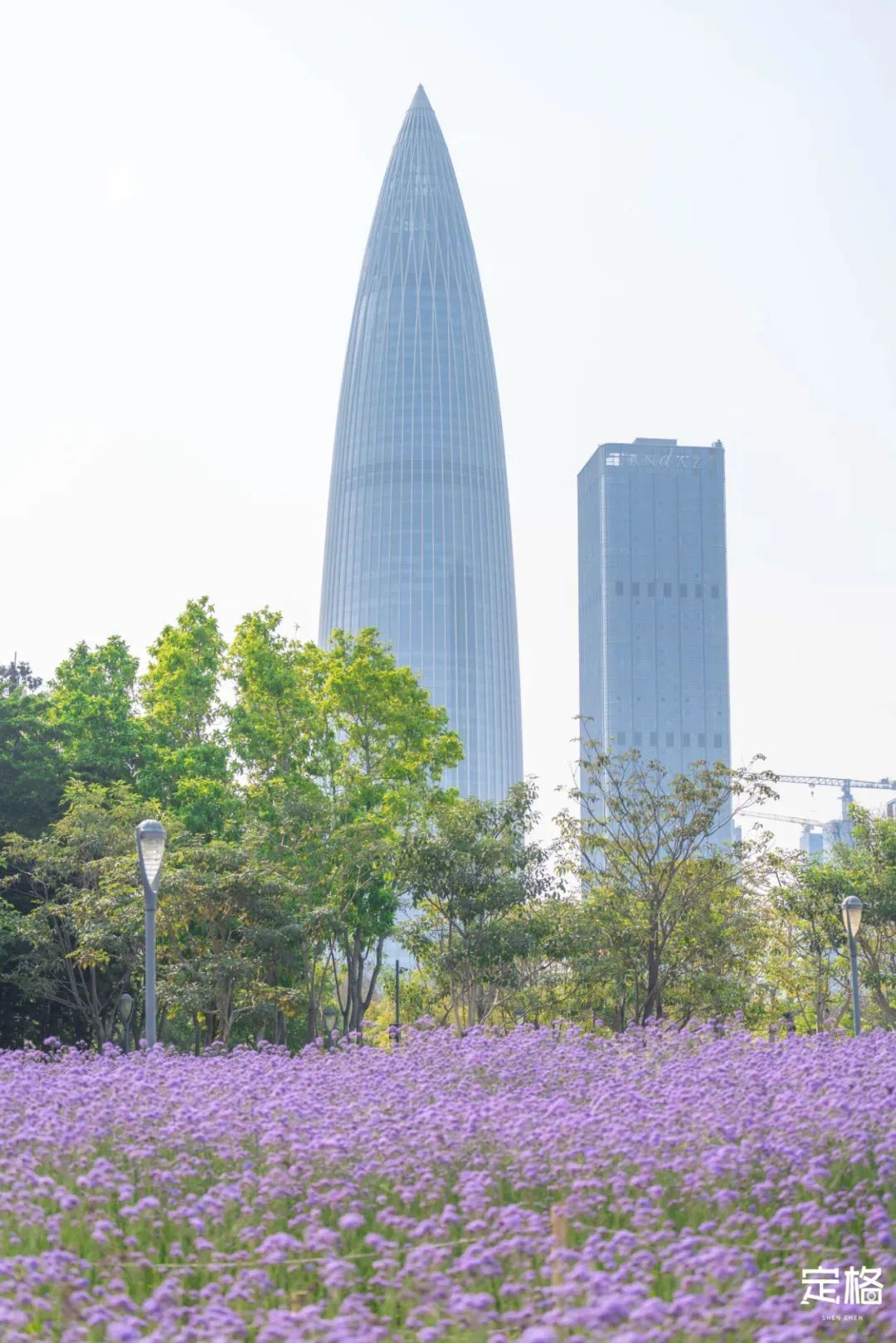 深圳3月14个赏花胜地全部免费,深圳清明节踏青赏花好去处