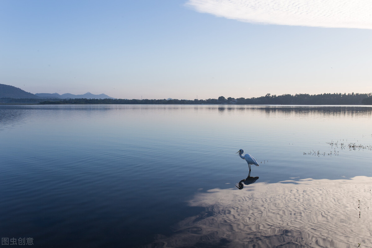 推荐三本经典军事小说,经典的现代军事类小说