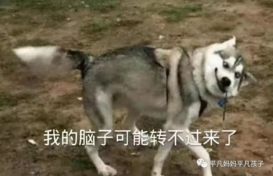 暑假怎样提高孩子的作文水平,如何提升孩子的作文写作