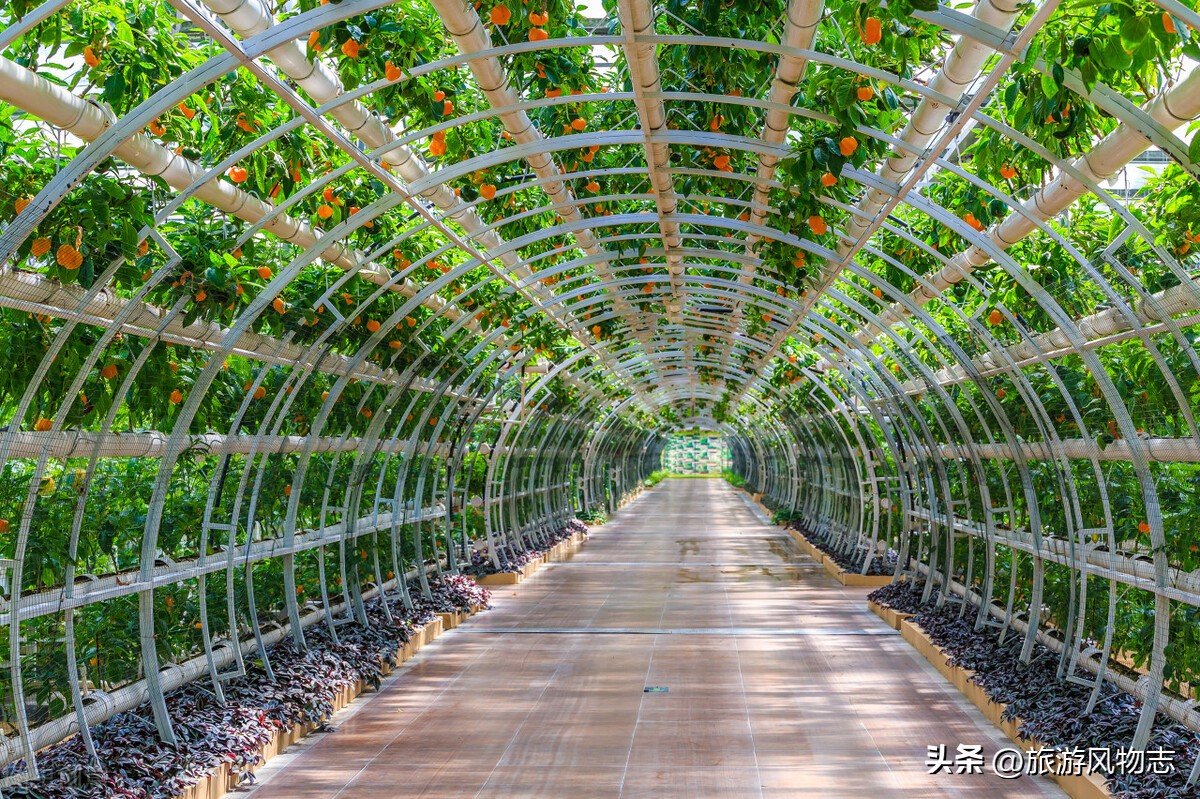 中国公认最强省山东,山东和江苏哪个地理位置好