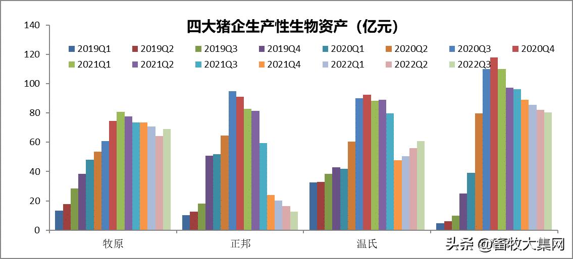新五丰是新希望吗,新五丰重组通过会涨吗