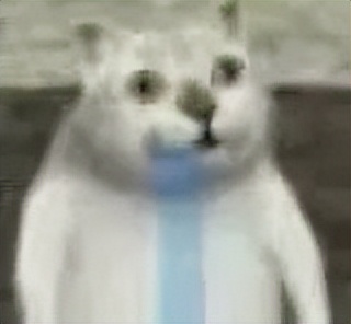 奶茶最火爆网红叫什么,奶茶网红爆款