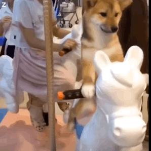 端午节放假通知来了共休三天,五一放假通知来了连休5天凉山