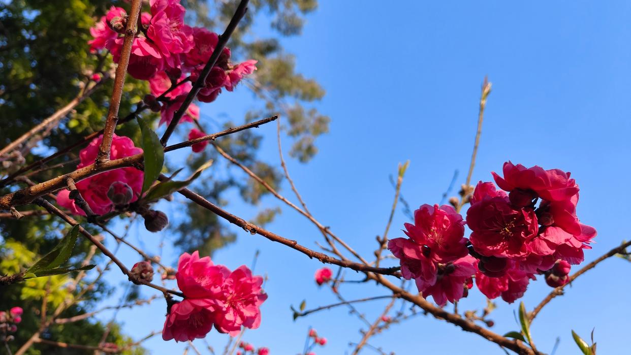 准大学生的购机攻略：全价位段覆盖，欧加系机型推荐