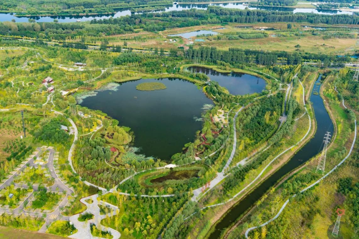 多元共治生态治理模式,多元共治的生态治理模式