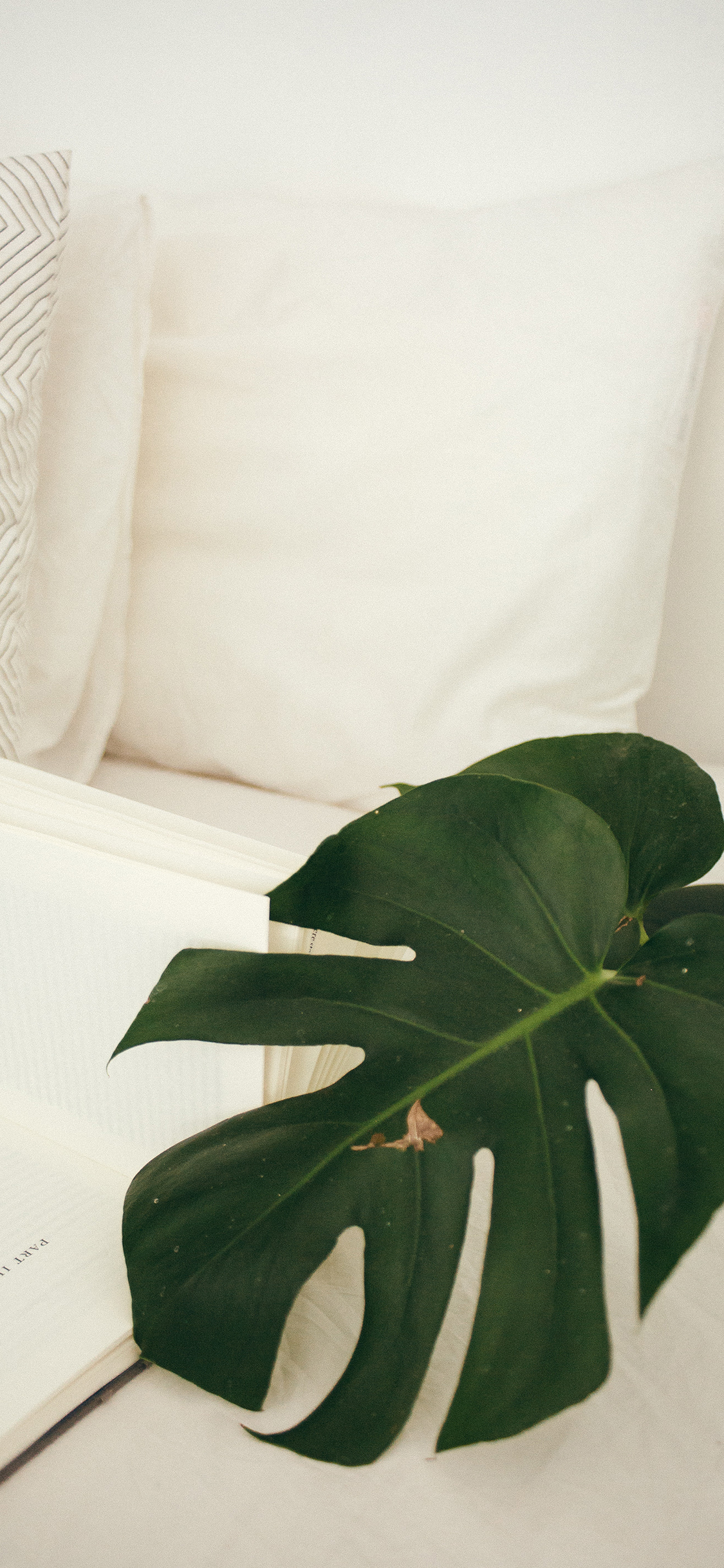 2023年手机壁纸,2023年最新款超清手机壁纸