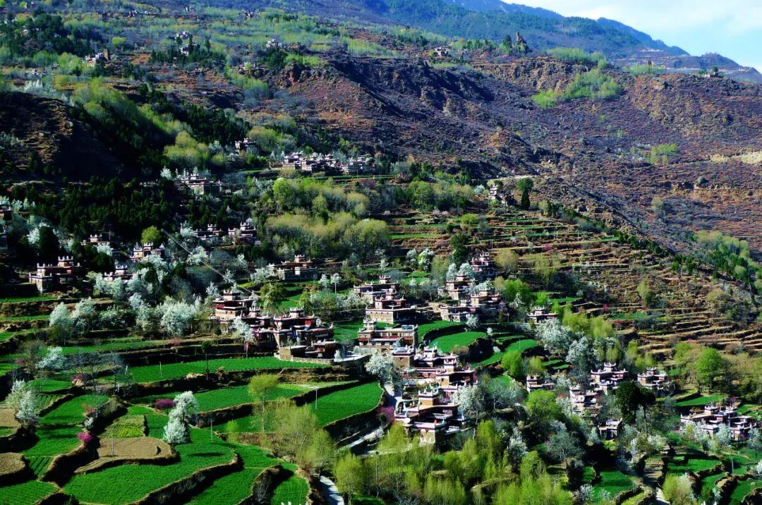 8月出游去哪儿？20条精品旅游线路带你畅享假日活力