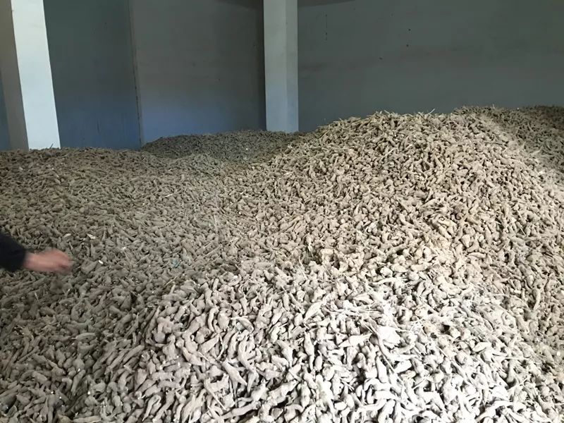 四川药材烘干设备,成都中药材烘干设备