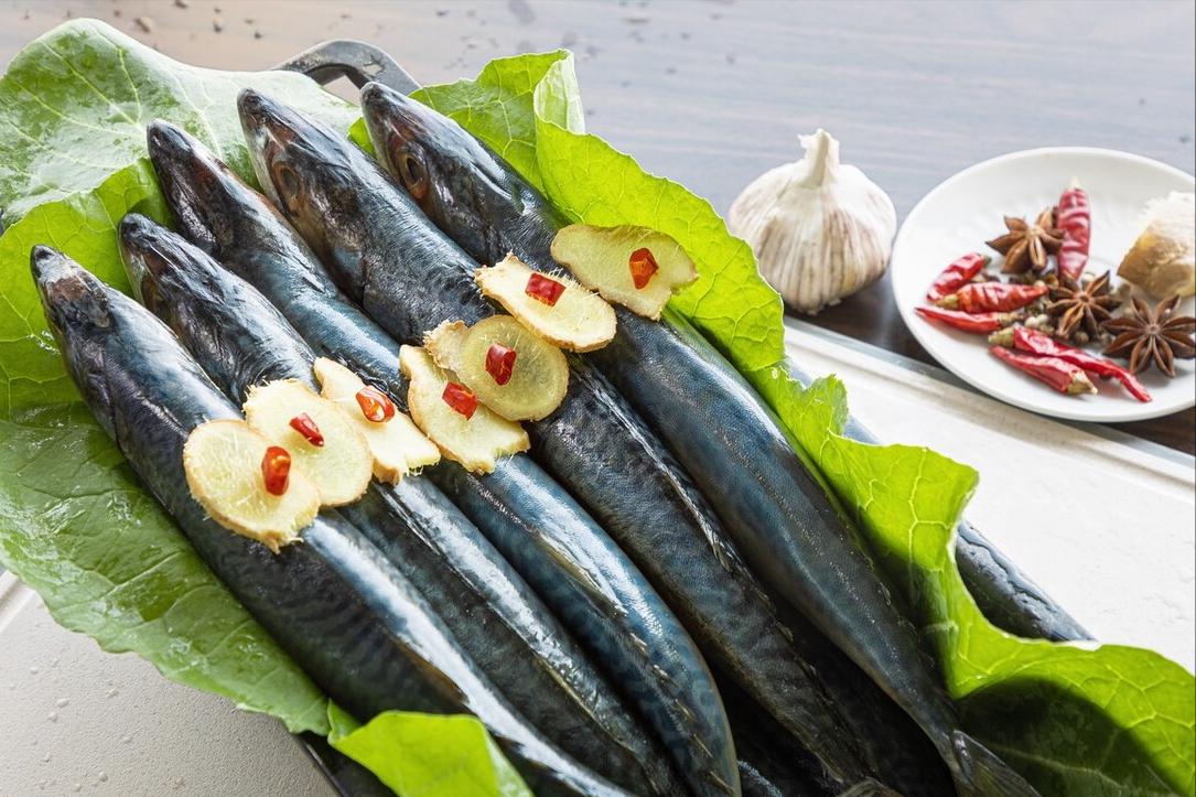 七种不一样的鱼图片,各种鱼的区别方法图解