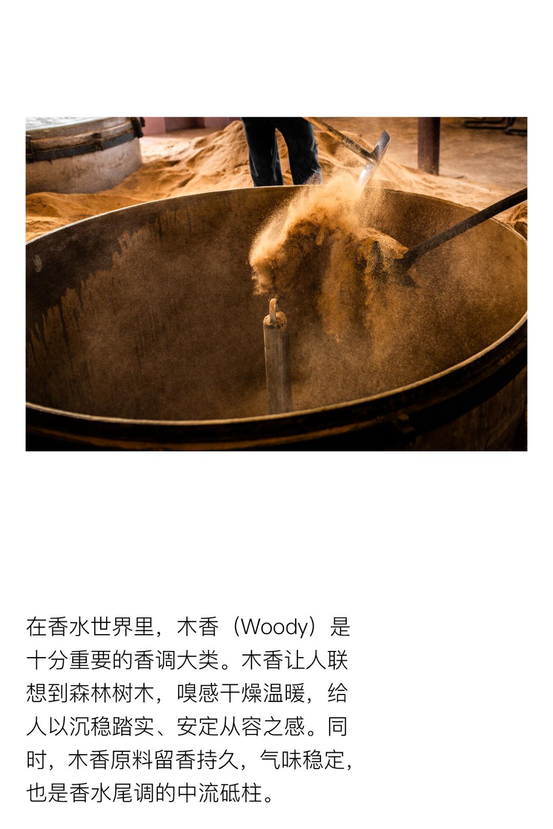 coco李玟不潮不用花钱是哪一期,coco李玟对人生的态度