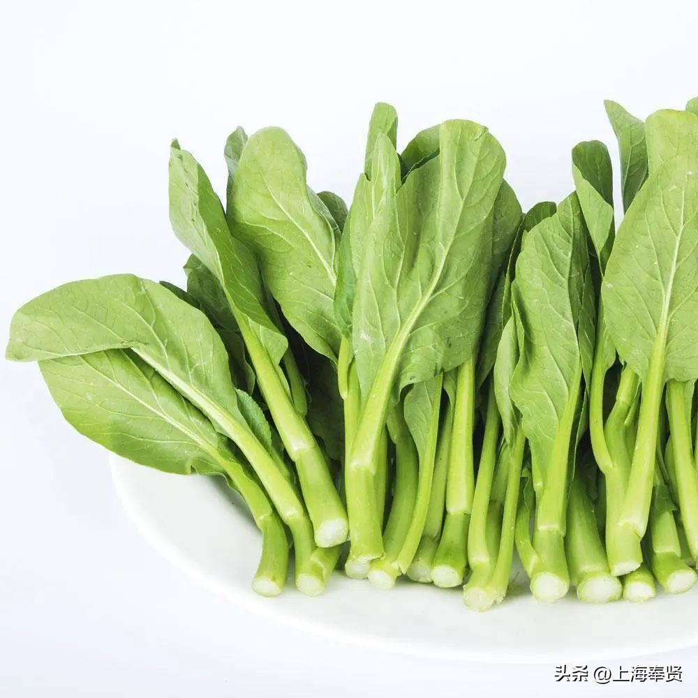 孕妈健康食谱,孕妈应该怎么饮食对宝宝好