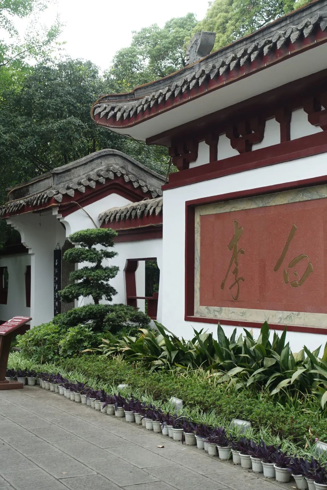 江油哪里看月亮好,江油夜晚风景