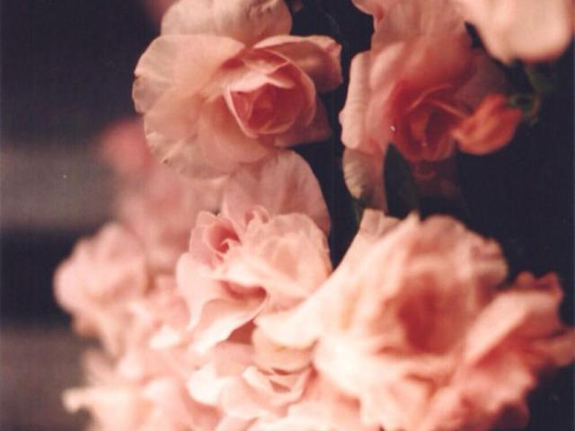 天秤座对不喜欢的人都懒得搭理,天秤座不想搭理你的表现