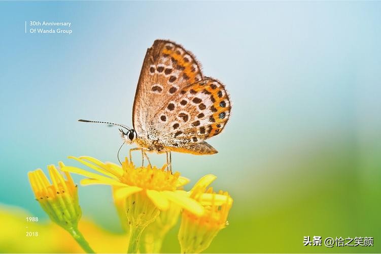 自省自律和自洽是人生的三次觉醒,人生成功在于不断的自省